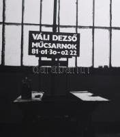 1981 Váli Dezső kiállítása, Műcsarnok, ofszet, papír. Szélén sérült. 58×81,5 cm