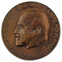 Berky Nándor (1911-1981.) 1971. "Prof. Árvay Sándor 20 éve vezeti a DOTE. női klinikáját 1971." egyoldalas, öntött bronz emlékplakett (138mm) T:XF patina, karc HV.: 18.