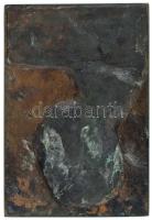 Reményi József (1887-1977) 1907. " Dr. Berger Ignác - VNIV. MED. DR. IGNATIVS BERGER OR. DE MIS...