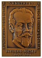 1965. "Országos Közegészségügyi Intézet Budapest / Dr. Fodor József 1843-1901" bronz kétoldalas emlékplakett (69x50mm) T:AU