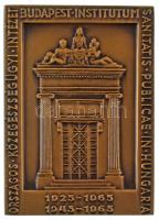 1965. "Országos Közegészségügyi Intézet Budapest / Dr. Fodor József 1843-1901" bronz kétol...