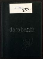 Olaszország és Trieszt összeállítás a korai évektől 10 lapos közepes berakóban