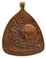 1989. "Nem késő még - Sportvetélkedő / II. kerület 1989. október 30." kétoldalas, öntött bronz medál füllel. Szign.: VGY (68x54mm) T:AU