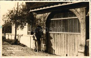 Kadicsfalva, Cadiseni (Székelyudvarhely, Odorheiu Secuiesc); Székely kapu / Transylvanian carved wood gate. Kováts photo (gyűrődés / crease)