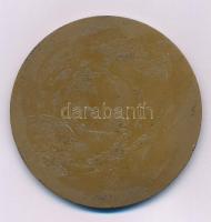 1970 k. "Lenin Kohászati Művek Diósgyőr 1770" egyoldalas bronz emlékérem (62mm) T:AU patin...