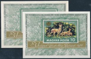 1971 Vadászati világkiállítás blokk, az AUSSTELLUNG "NG" betűi vastagabbak + támpéldány