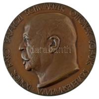 Beck Ötvös Fülöp (1873-1945) 1913. "Doktor báró Babarczi Schwartzer Ottónak 60-adik születésnapjára" kétoldalas, vert, bronz emlékérem (69mm) T:AU HV.: 21.