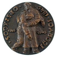 Csúcs Ferenc (1905-1999) 1948. "Bugát Pál / Országos főorvos 1849" kétoldalas, öntött bron...