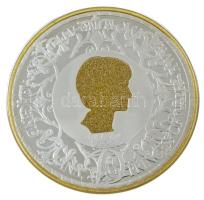 2016. "Diana Princess of Wales - A Wife - A Mother - A Princess - A Legend" ezüstözött, ré...