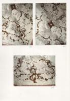 [Kézirat] A rákoskeresztúri Podmaniczky-Vigyázó kastély helyreállításának dokumentációja Bodor Imre ...