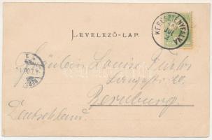 1900 Keresztényfalva, Neustadt-Burzenland bei Kronstadt, Cristian; Brautpaar, Kirchenburg, Junge Ehe...