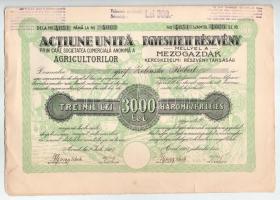 Románia / Arad 1923. "Mezőgazdák Kereskedelmi Részvénytársaság" részvénye 3000L-ről, szelvényekkel, szárazpecséttel és felülbélyegzésekkel T:XF hajtatlan, de szakadásokkal Romania / Arad 1923. "Commercial Agriculture Company" share about 3000 Lei with coupons, embossed stamp and overprints C:XF unfolded, but with tears