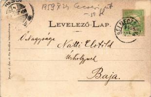 1906 Selmecbánya, Schemnitz, Banská Stiavnica; Deák Ferenc utca, üzletek, Hungária szálloda. Joerges...