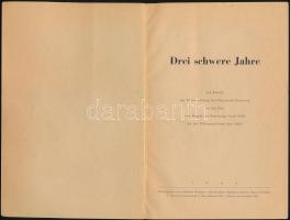 Drei schwere Jahre. Ein Bericht der Beuverwaltung der Haupstadt Hannover für die Zeit vom Beginn der...