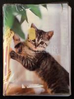 20 db RÉGI magyar népviselet motívum képeslap kissé viseltes 36 férőhelyes fotóalbumban, közte néhán...