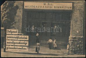 cca 1949 ,,Dolgozó parasztfiatalok mezőgazdasági gimnáziumban!", oktatáspolitikai propaganda kiadvány, kiadja a Magyar Ifjúság Népi Szövetsége (EPOSZ). Bp., Athenaeum-ny., 16 p. Kiadói tűzött papírkötés, sarkán kisebb hiánnyal.