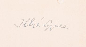 Illyés Gyula: Puszták népe. A szerző, Illyés Gyula (1902-1983) író, költő által ALÁÍRT példány. [Bp., 1942.],Nyugat. 3. kiadás. Kiadói félvászon-kötés, kissé kopott borítóval, a gerincen folttal.