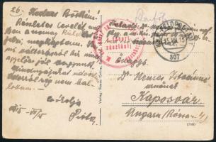 1915 Tábori posta képeslap "M. kir. pécsi 19. népfölkelő gyalogezred I. tábori zászlóalj" + "FP 307"