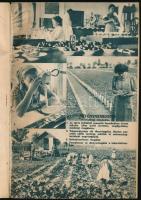 1940 Mauthner mag árjegyzék, Mauthner Ödön Magtermelő és Magkereskedelmi R.T. Budapest, kiadói papír...