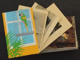MADARAK - 120 db MODERN képeslap / BIRDS - 120 modern postcards