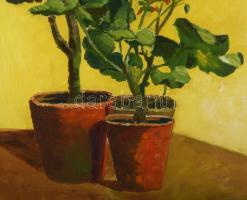 Farkas S. jelzéssel: Muskátli, 1909. Olaj, vászon. Proveniencia: Saphier-gyűjtemény. Javított. Sérül...