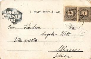 1899 Cegléd, Gróf Kreith-féle 48-as és Kossuth múzeum részlete, belső (kopott sarkak / worn corners)