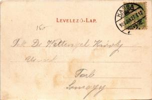 1903 Miskolc, Diósgyőri várrom. Gedeon András kiadása (fl)