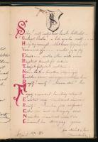 1884 Schwertner Ferenc királyi számtanácsos emlékkönyve több nevezetes személy bejegyzésével, köztük...