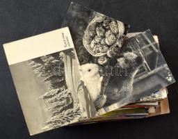 200 db MODERN üdvözlőlap, művészlap vegyes minőségben / 200 modern greeting cards, art postcards in ...