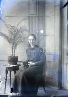 5 db üvegnegatív vegyes felvételekkel (közte a régi Erzsébet híd), 12x9 cm