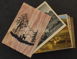 ÁLLATOK - 100 db MODERN képeslap / ANIMALS - 100 modern postcards