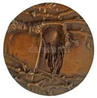 Kiss Kovács Gyula (1922-1984) 1975. "Felszabadulásunk 30. évfordulóján Miskolc Város Tanácsa" kétoldalas bronz emlékérem (95mm) T:XF