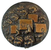 Kiss István (1927-1997) 1974. "A szocialista jövőért" kétoldalas bronz emlékplakett (80mm) T:XF