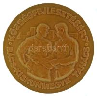 1960 k. "Községfejlesztésért - Bács-Kiskun Megyei Tanács" egyoldalas bronz emlékérem, eredeti tokban, benne műgyantás "Községfejlesztésért" kitűzővel T:UNC