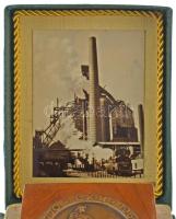 1960. Lenin Kohászati Művek "1770 L.K.M. 1960 - Diósgyőr" bronz emlékérem (50mm) fa talapz...