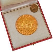 1960 k. "Szocializmusért - BVK PB" aranyozott bronz emlékérem, bronz jelvénnyel, tobkan (58mm) T:AU