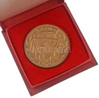 1985. "75 éves a DVTK" egyoldalas, öntött bronz emlékérem eredeti "DVTK" feliratú tokban, a Diósgyőri Vasgyárak TK fennállásának 75. évfordulója alkalmából (116mm) T:AU