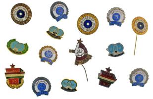 1960-1980 k. 15xklf "Törzsgárda" jelvényből álló tétel, közte zománcozott darabok, benne: BÁÉV, BVK, KOMÉP. V., Északi Fűrészek, Acélipari KTSZ T:vegyes