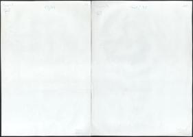 Erotikus művész fotók, 12 db, a hátoldalon jelzettek és számozottak (Photo Gaál), egy fotó sarkán ha...