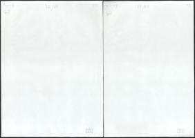 Erotikus művész fotók, 12 db, a hátoldalon jelzettek és számozottak (Photo Gaál), egy fotó sarkán ha...