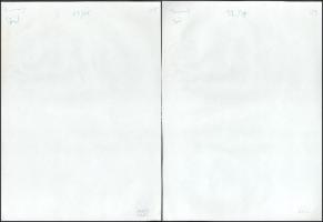 Erotikus művész fotók, 12 db, a hátoldalon jelzettek és számozottak (Photo Gaál), egy fotó sarkán ha...