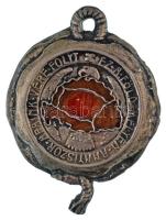 1930 k. Fém, irredenta ereklyetartó füllel, hátoldalán "3356 sz. EREKLYE - Törv. Véd.- ÖTM" Eredetileg mind a 64 vármegyéből származó földet tartalmazott (36x47mm) T:XF,VF sérült