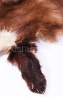 Nyest vagy nyuszt prém, szakszerűen kikészítve h: 85 cm