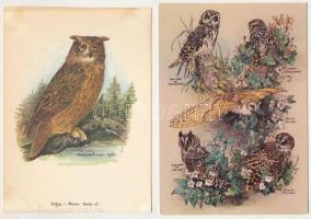 BAGOLY - 11 db MODERN képeslap / OWLS - 11 modern postcards