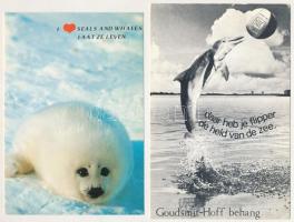 TENGERI ÁLLATOK - 20 db MODERN képeslap / SEA ANIMALS - 20 modern postcards