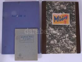 cca 1979-1983 3 db kézzel írt napló