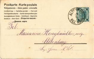 1902 Prosit Neujahr! / New Year greeting art postcard with lady and pigs. Art Nouveau, litho (fl)