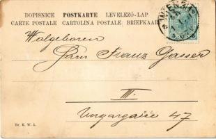 1901 Prosit Neujahr! / New Year greeting art postcard with man riding on a pig. Br. K. W. I. Art Nou...