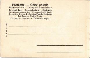 K.u.K. military art postcard, officer. B.K.W.I. 544/4. (EK)