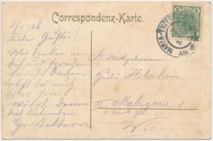 1906 Maria Enzersdorf. Franz Schemm Kunstanstalt Art Nouveau, floral, litho (wet damage)